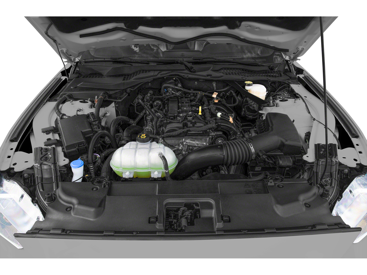 2023 Ford Mustang EcoBoost