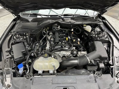 2023 Ford Mustang EcoBoost