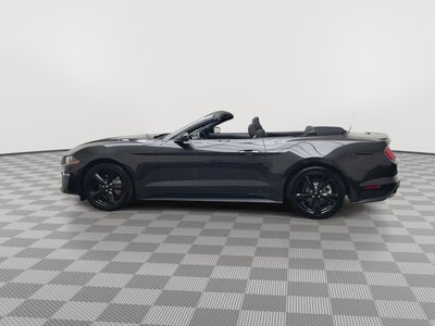 2023 Ford Mustang EcoBoost