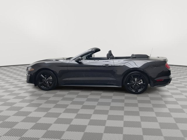2023 Ford Mustang EcoBoost
