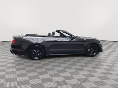 2023 Ford Mustang EcoBoost