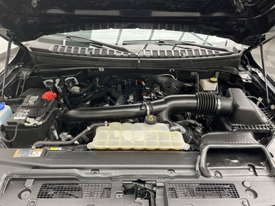 2023 Ford Expedition XLT