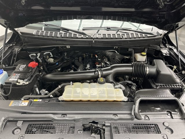 2023 Ford Expedition XLT