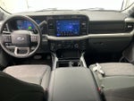 2024 Ford Super Duty F-250 XLT