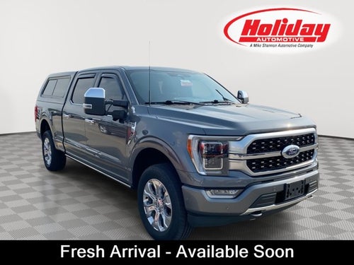 2023 Ford F-150 Platinum