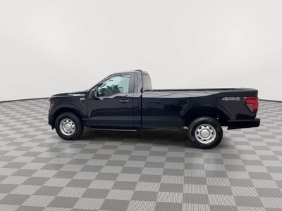 2024 Ford F-150 XL