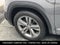 2019 Volkswagen Atlas 3.6L V6 SE w/Technology R-Line