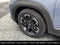 2023 Mazda Mazda CX-50 2.5 Turbo Meridian Edition