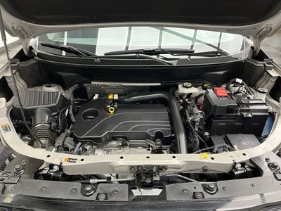 2025 GMC Terrain AWD Elevation